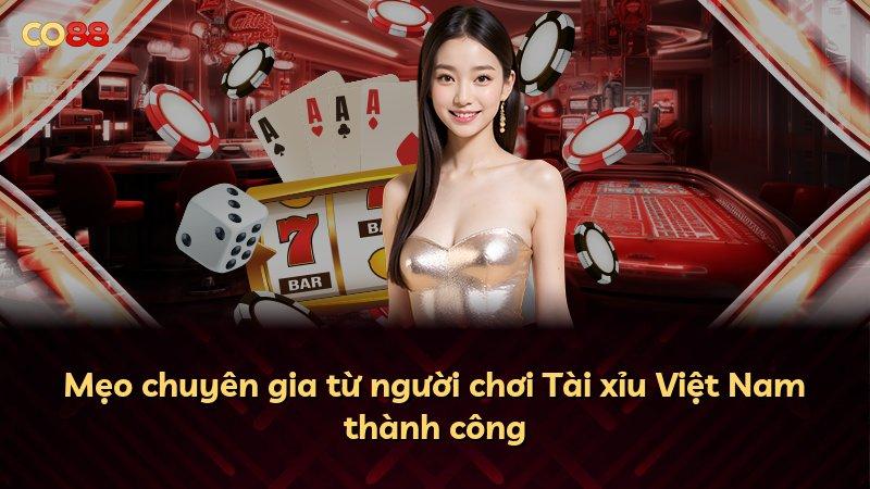 Mẹo chuyên gia từ người chơi Tài xỉu Việt Nam thành công