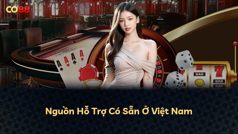 Nguồn Hỗ Trợ Có Sẵn Ở Việt Nam