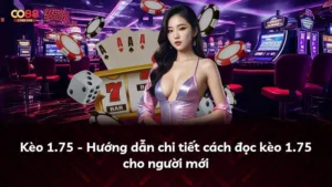 Kèo 1.75 – Hướng dẫn chi tiết cách đọc kèo 1.75 cho người mới